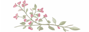 cropped favicon argiros.png